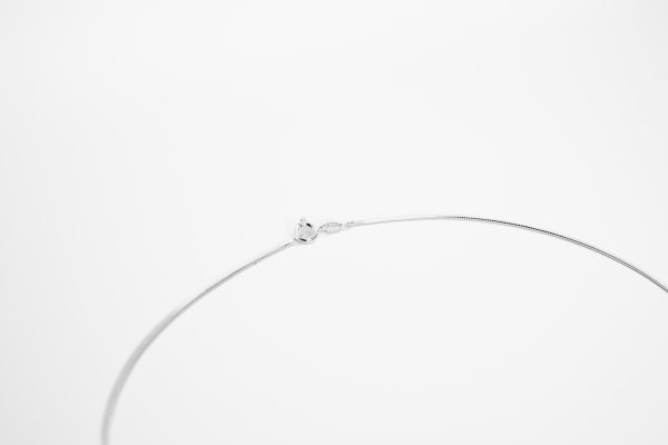 CADENA RATO - Imagen 2