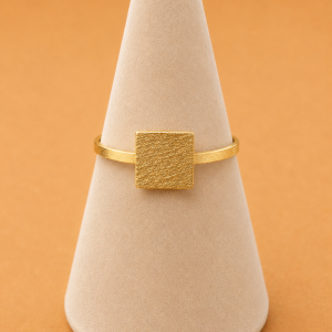 ANILLO